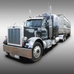 Aombrano Truck Before, All Pro Truck Body Shop semi painting